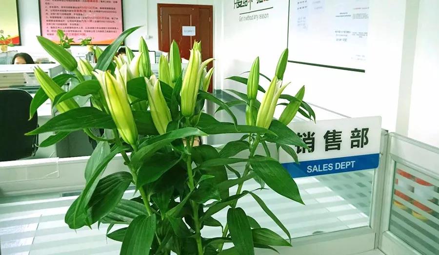 濃情七夕，最美祝福！